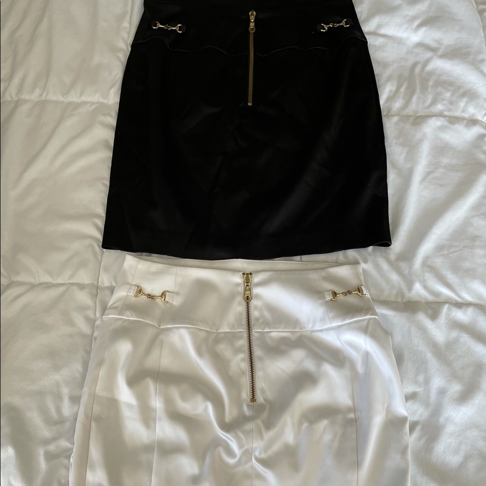 Express Skirts lot